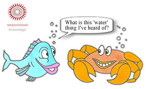 Fish asking a crab