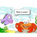 fish-crab-cartoon-300-200