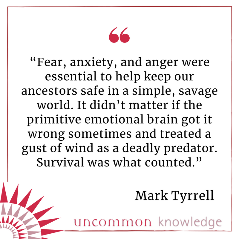 Mark Tyrrell's quote