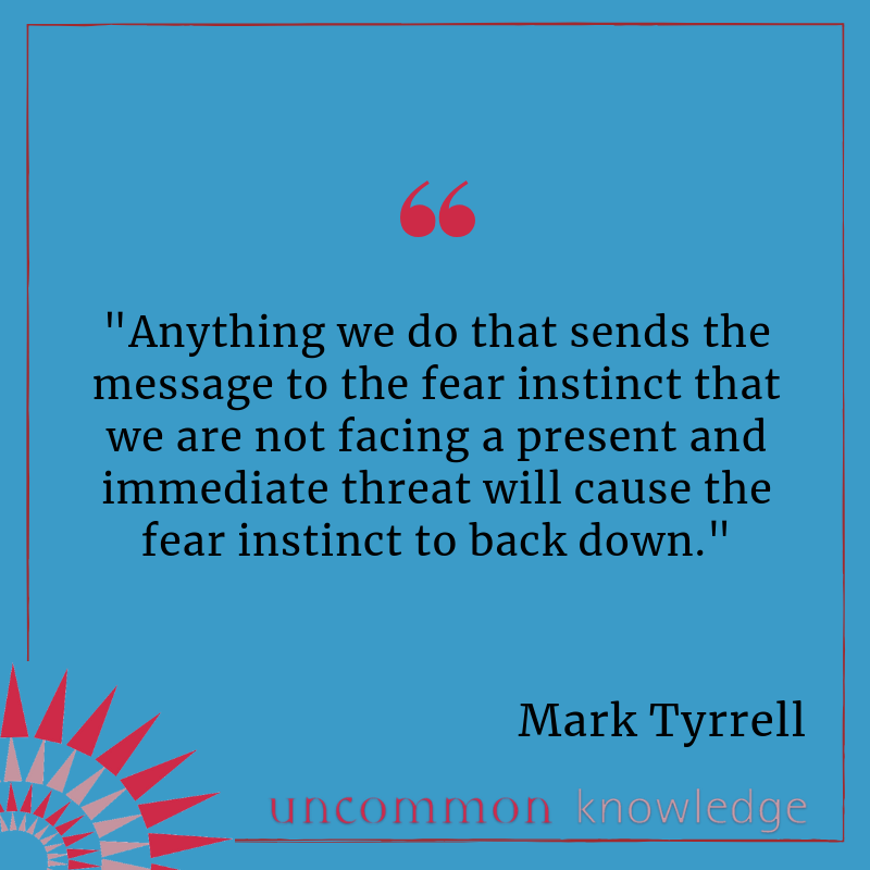 Mark Tyrrell's quote