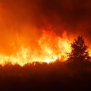 Intense flames from a massive forest fire. Flames light up the night as they rage thru pine forests and sage brush.    The Carlton Complex wild fire was Washington state's largest fire in history.