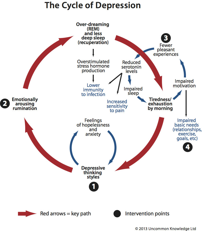 cycle-of-depression-comprehensive-version